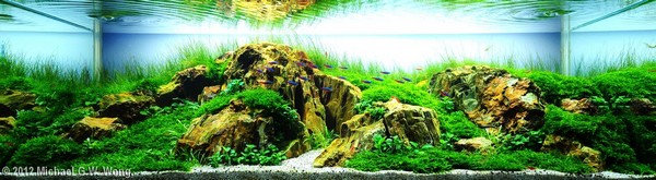 Michael G.W. Wong (Hong Kong) 